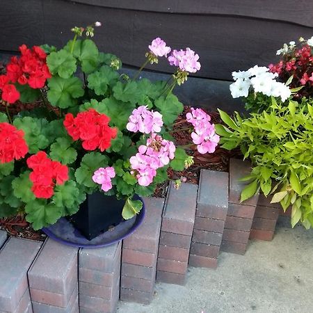 Wild Rose Bed & Breakfast Saskatoon Bagian luar foto