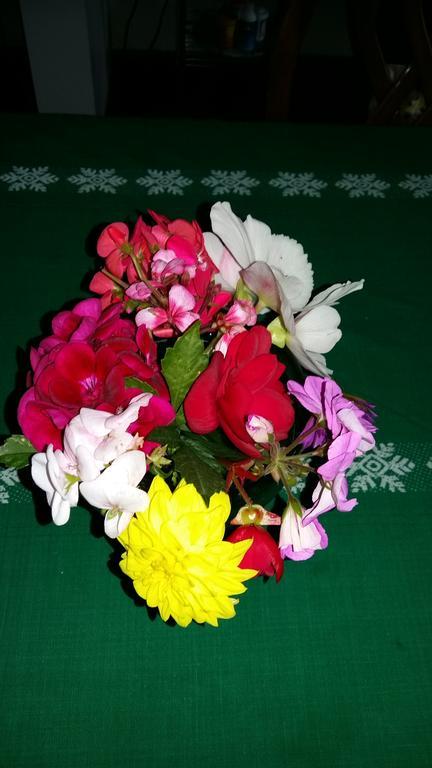 Wild Rose Bed & Breakfast Saskatoon Bagian luar foto