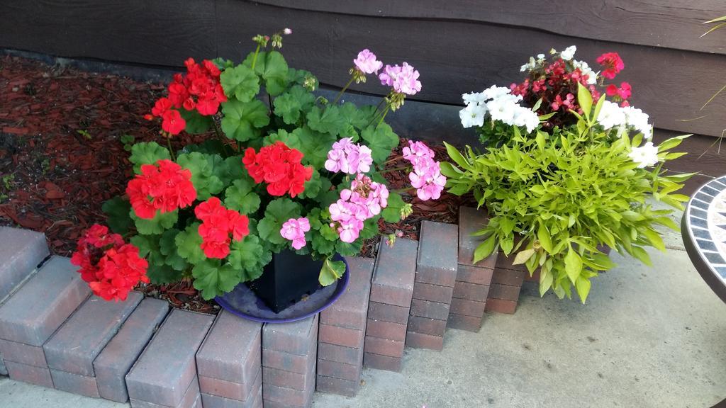 Wild Rose Bed & Breakfast Saskatoon Bagian luar foto